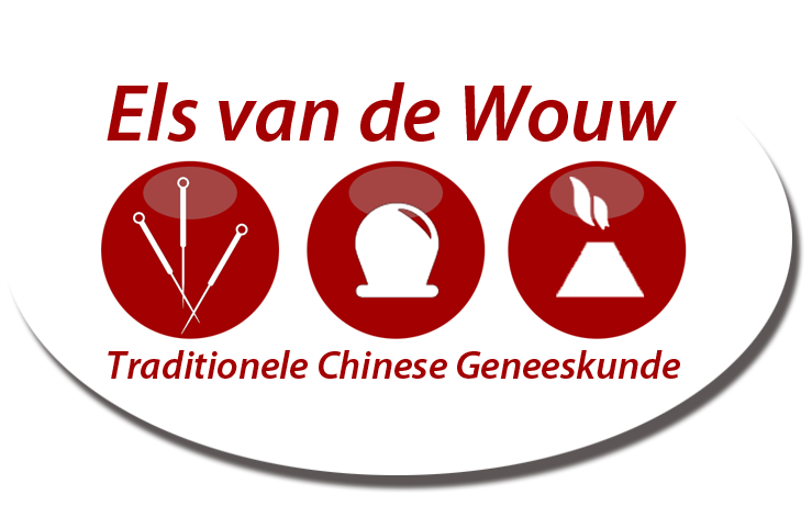 logo acupunctuur zeeland