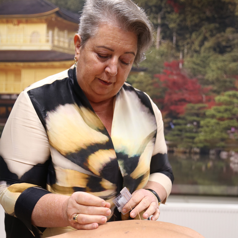 Acupuncturist Els van de Wouw aan het werk